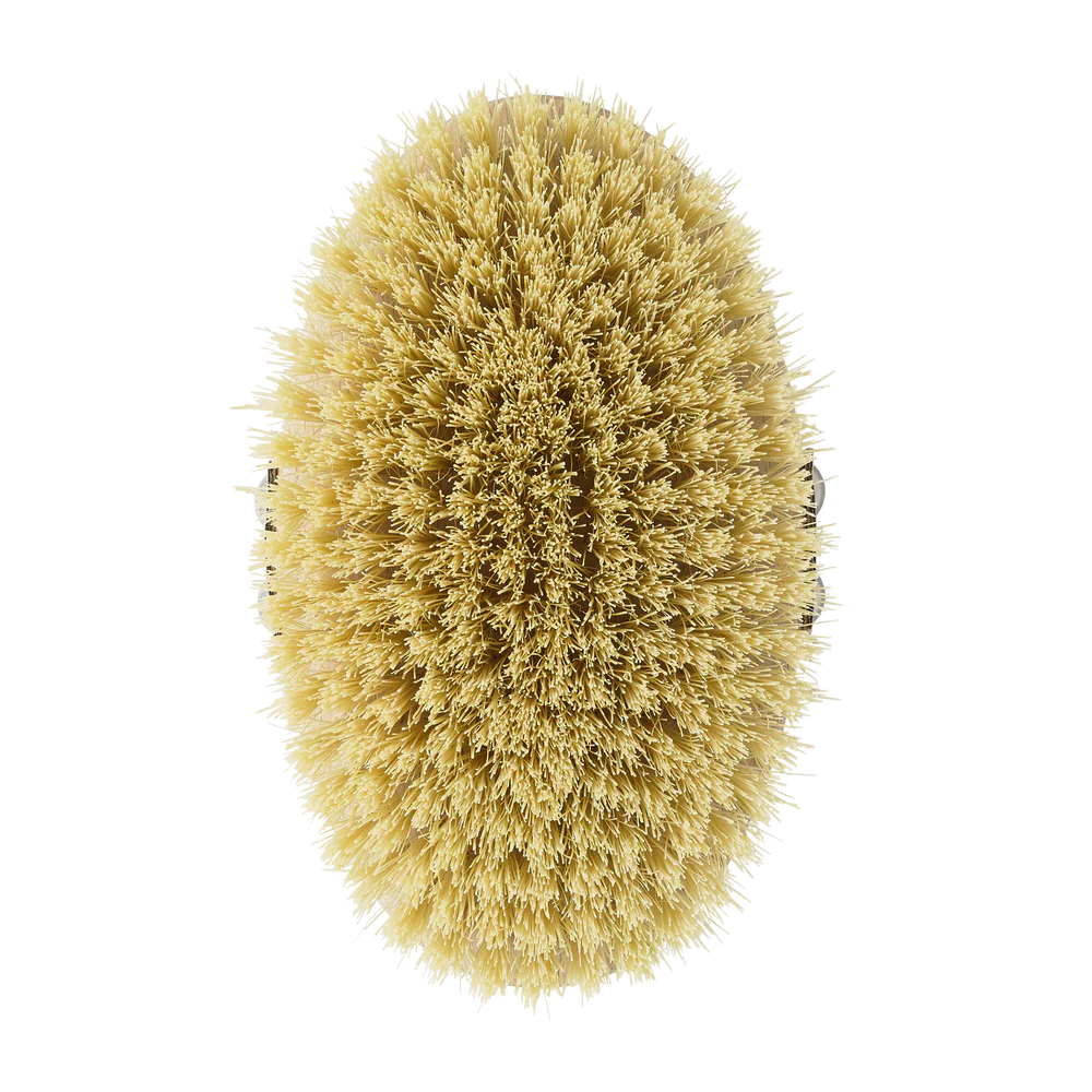 فرشاة الجسم مقاس واحد