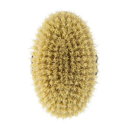 فرشاة الجسم مقاس واحد