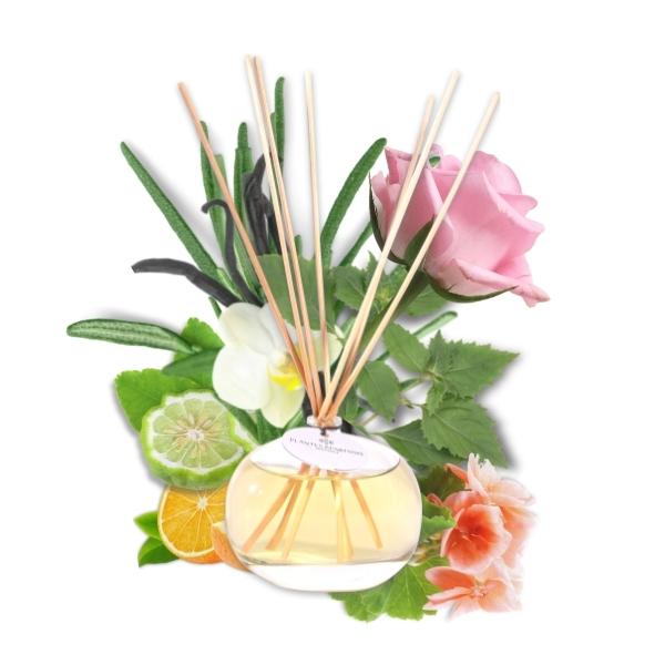 Fragrance Diffuser - Oriental Wood 100ml