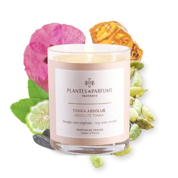 Perfumed Handcraft Candle - Absolute Tonka 180g